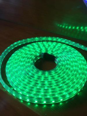 Dây Led 2 hàng xanh lá